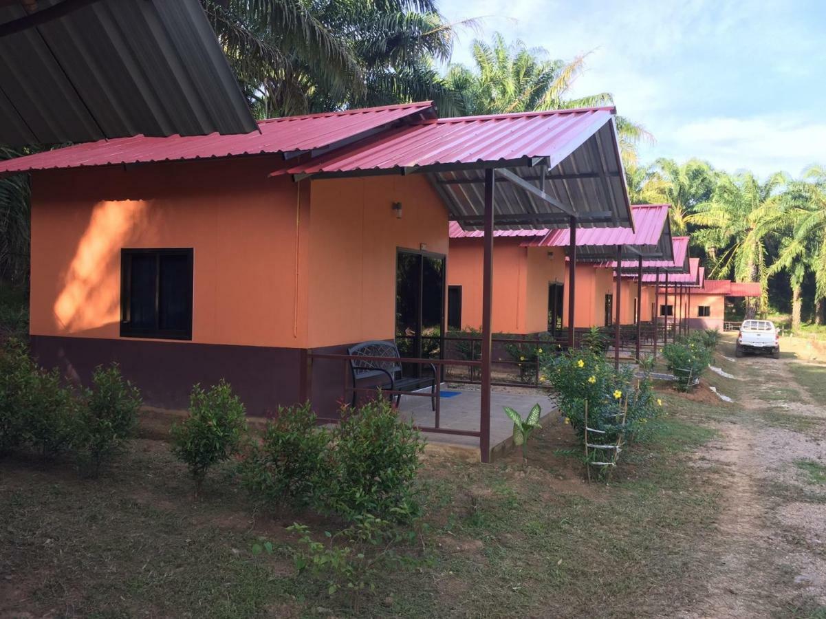 Khao Sok Evergreen House Khao Sok National Park Luaran gambar