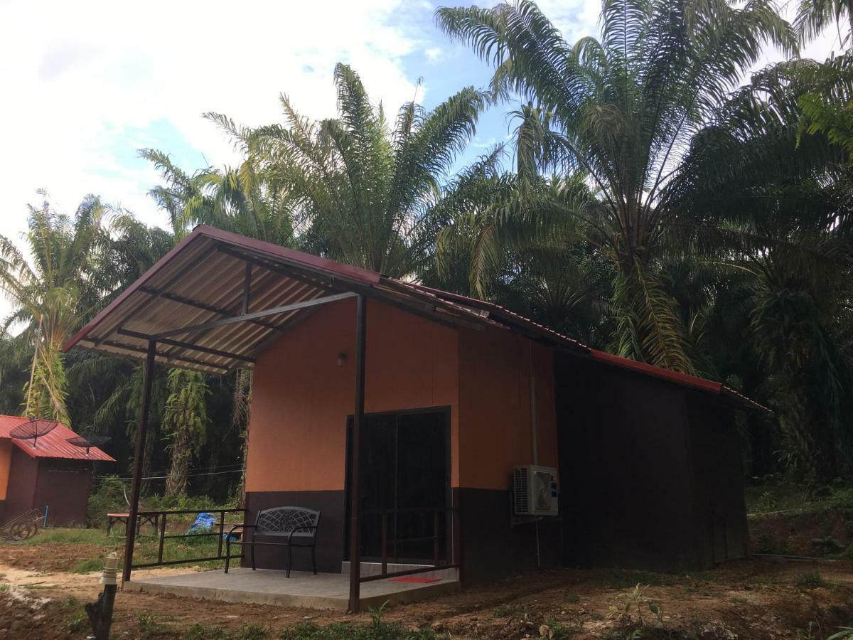 Khao Sok Evergreen House Khao Sok National Park Luaran gambar