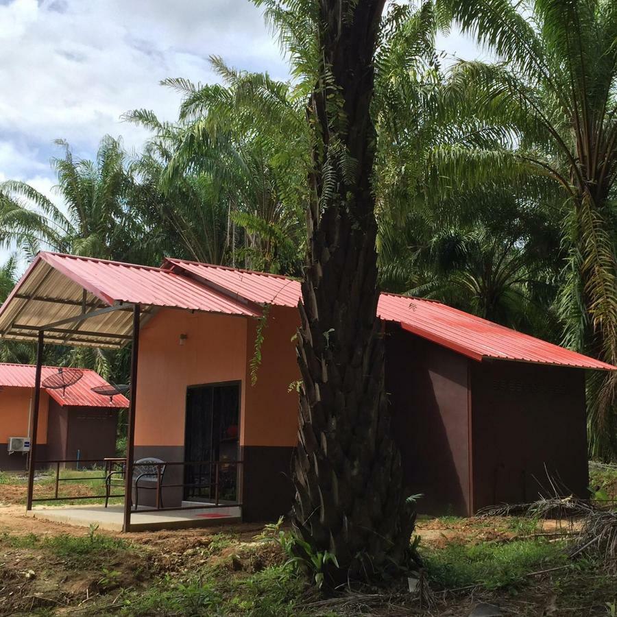 Khao Sok Evergreen House Khao Sok National Park Luaran gambar