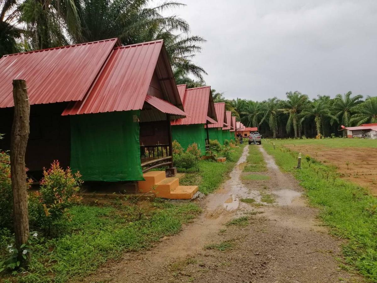 Khao Sok Evergreen House Khao Sok National Park Luaran gambar