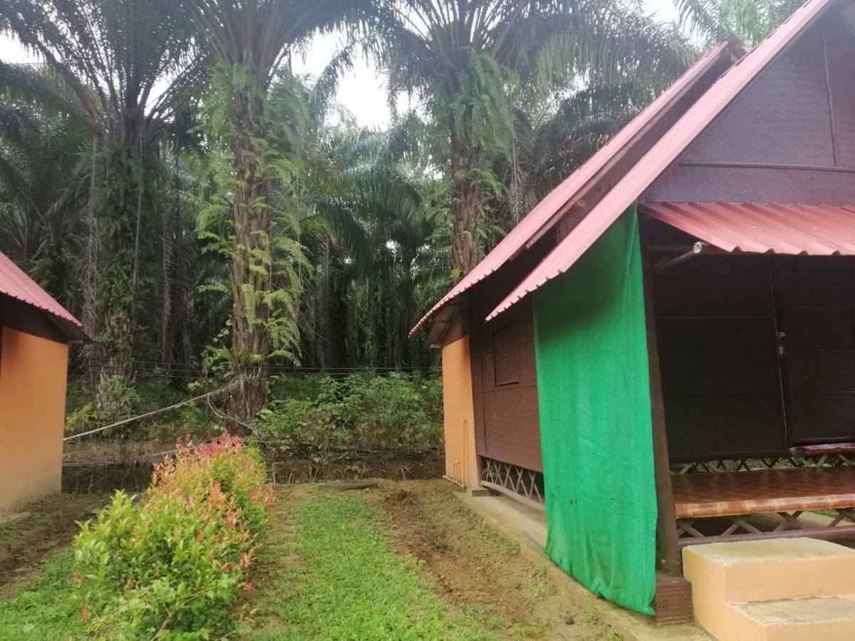 Khao Sok Evergreen House Khao Sok National Park Luaran gambar