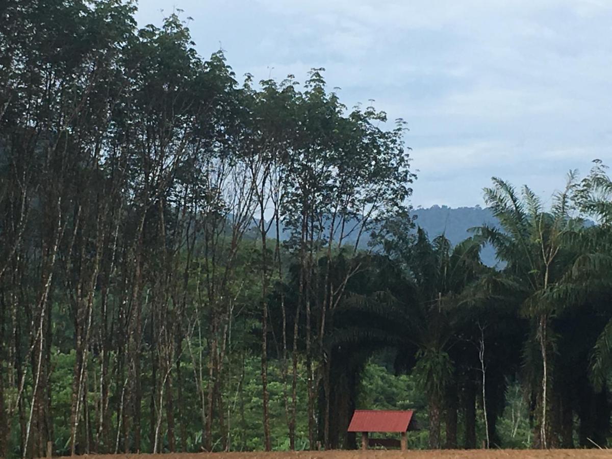 Khao Sok Evergreen House Khao Sok National Park Luaran gambar