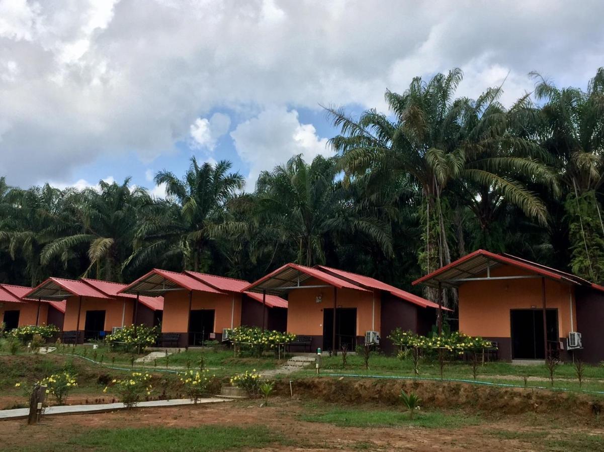 Khao Sok Evergreen House Khao Sok National Park Luaran gambar
