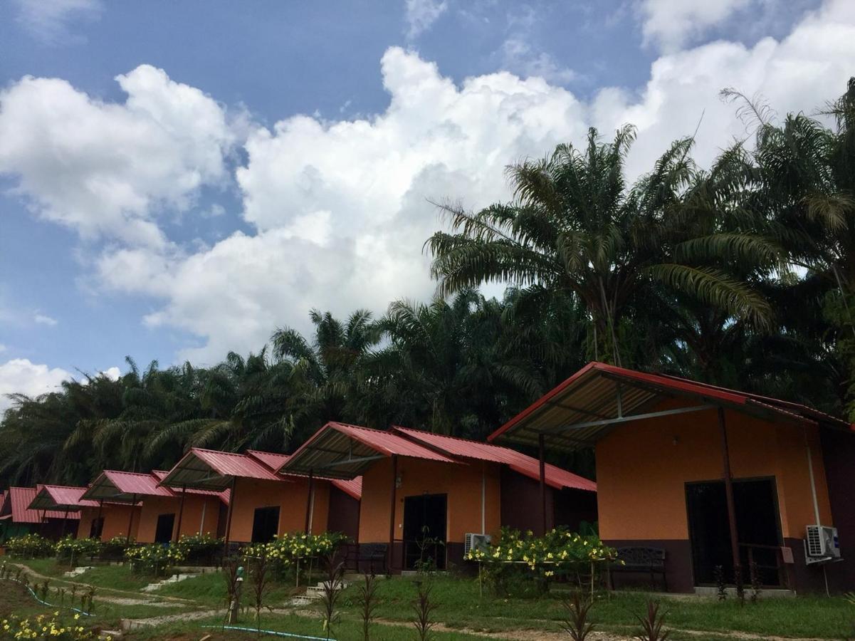 Khao Sok Evergreen House Khao Sok National Park Luaran gambar